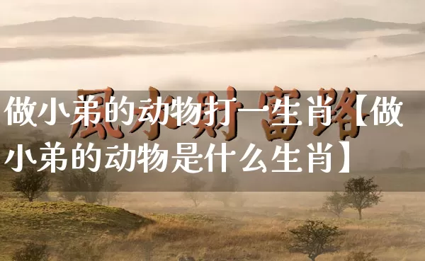 做小弟的动物打一生肖【做小弟的动物是什么生肖】_https://www.nbtfsb.com_生肖星座_第1张