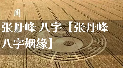 张丹峰 八字【张丹峰八字姻缘】_https://www.nbtfsb.com_五行风水_第1张