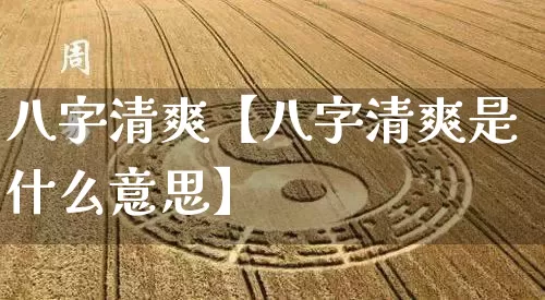 八字清爽【八字清爽是什么意思】_https://www.nbtfsb.com_易经起名_第1张