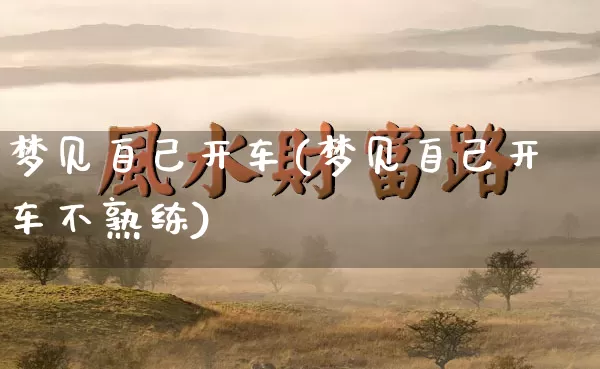 梦见自己开车(梦见自己开车不熟练)_https://www.nbtfsb.com_道源国学_第1张