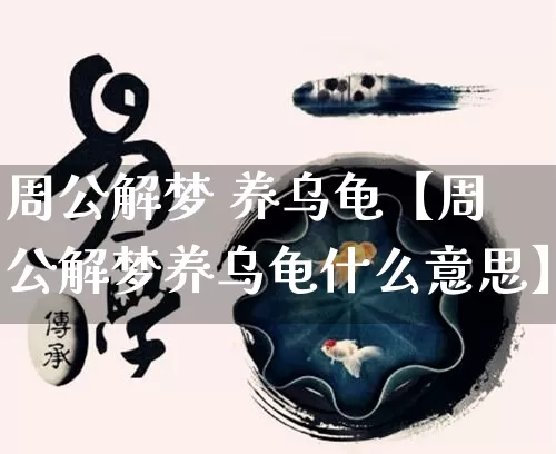 周公解梦 养乌龟【周公解梦养乌龟什么意思】_https://www.nbtfsb.com_八字算命_第1张