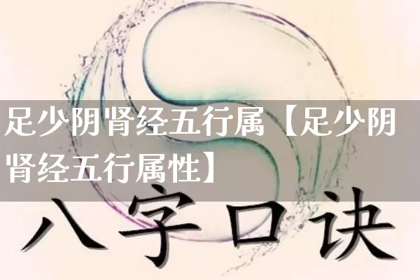 足少阴肾经五行属【足少阴肾经五行属性】_https://www.nbtfsb.com_易经起名_第1张