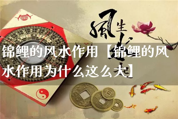 锦鲤的风水作用【锦鲤的风水作用为什么这么大】_https://www.nbtfsb.com_生肖星座_第1张
