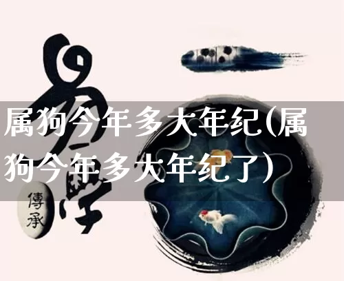 属狗今年多大年纪(属狗今年多大年纪了)_https://www.nbtfsb.com_八字算命_第1张