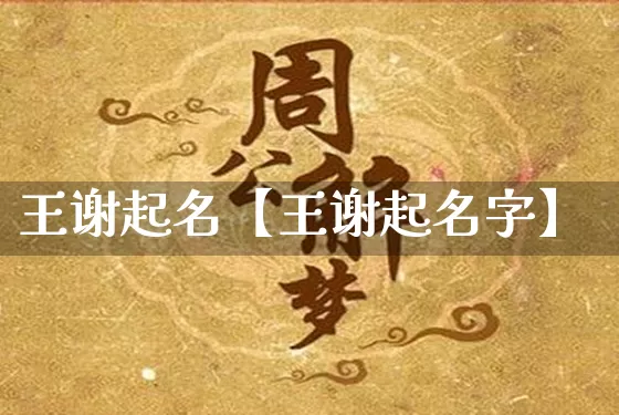 王谢起名【王谢起名字】_https://www.nbtfsb.com_周公解梦_第1张