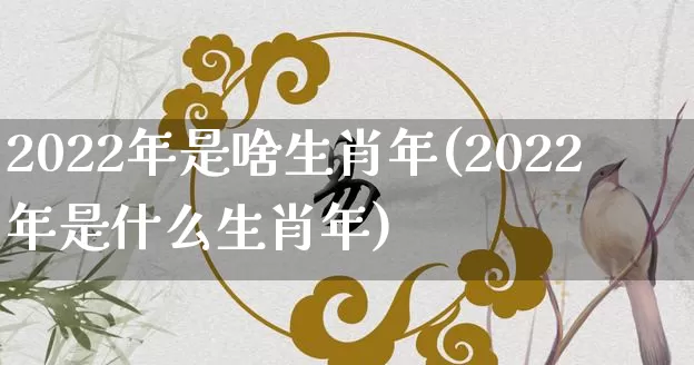 2022年是啥生肖年(2022年是什么生肖年)_https://www.nbtfsb.com_易经起名_第1张