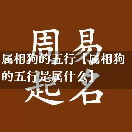 属相狗的五行【属相狗的五行是属什么】_https://www.nbtfsb.com_道源国学_第1张