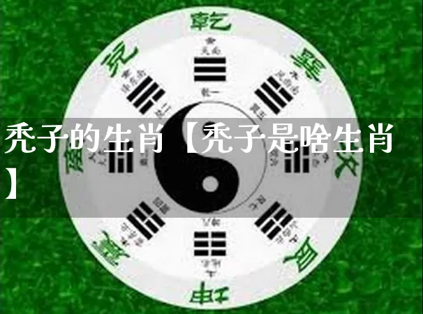 秃子的生肖【秃子是啥生肖】_https://www.nbtfsb.com_易经起名_第1张