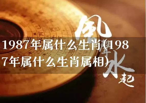 1987年属什么生肖(1987年属什么生肖属相)_https://www.nbtfsb.com_国学动态_第1张