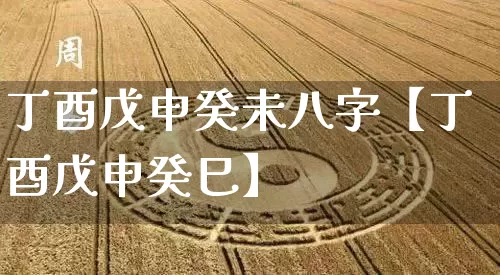 丁酉戊申癸未八字【丁酉戊申癸巳】_https://www.nbtfsb.com_生肖星座_第1张