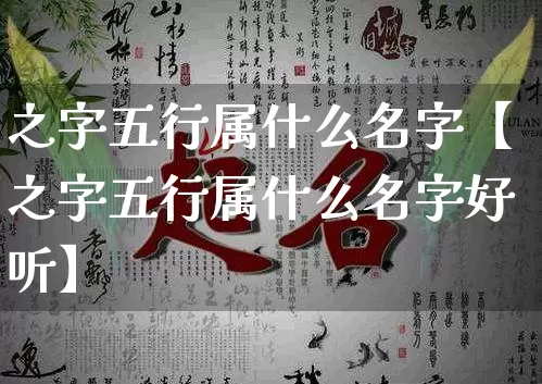 之字五行属什么名字【之字五行属什么名字好听】_https://www.nbtfsb.com_生肖星座_第1张