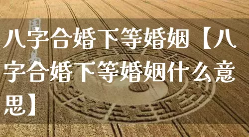八字合婚下等婚姻【八字合婚下等婚姻什么意思】_https://www.nbtfsb.com_五行风水_第1张