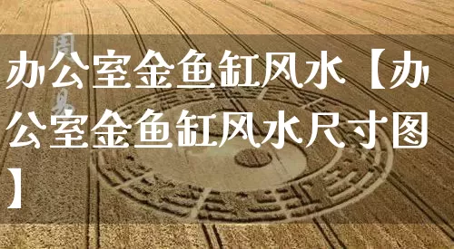 办公室金鱼缸风水【办公室金鱼缸风水尺寸图】_https://www.nbtfsb.com_道源国学_第1张