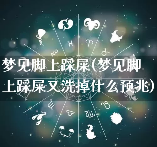 梦见脚上踩屎(梦见脚上踩屎又洗掉什么预兆)_https://www.nbtfsb.com_国学动态_第1张