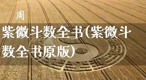 紫微斗数全书(紫微斗数全书原版)_https://www.nbtfsb.com_国学动态_第1张