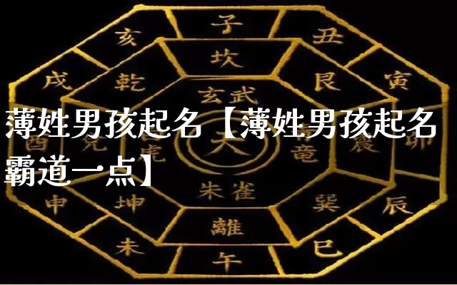 薄姓男孩起名【薄姓男孩起名霸道一点】_https://www.nbtfsb.com_生肖星座_第1张