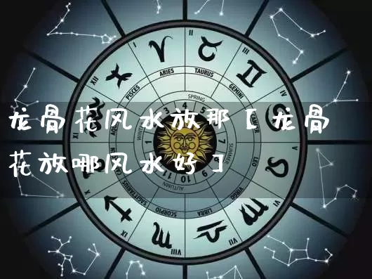 龙骨花风水放那【龙骨花放哪风水好】_https://www.nbtfsb.com_国学动态_第1张