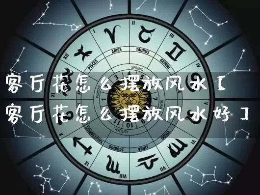客厅花怎么摆放风水【客厅花怎么摆放风水好】_https://www.nbtfsb.com_五行风水_第1张