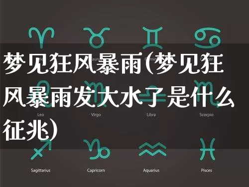 梦见狂风暴雨(梦见狂风暴雨发大水了是什么征兆)_https://www.nbtfsb.com_国学动态_第1张