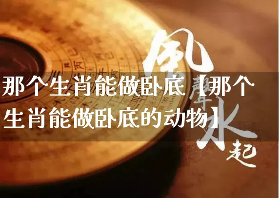 那个生肖能做卧底【那个生肖能做卧底的动物】_https://www.nbtfsb.com_周公解梦_第1张