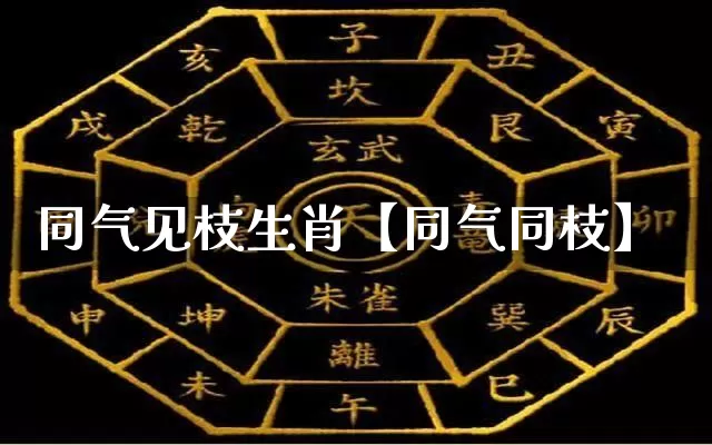 同气见枝生肖【同气同枝】_https://www.nbtfsb.com_生肖星座_第1张