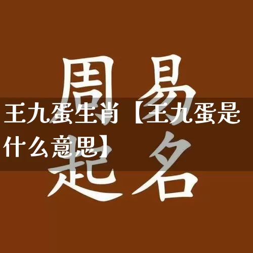 王九蛋生肖【王九蛋是什么意思】_https://www.nbtfsb.com_周公解梦_第1张