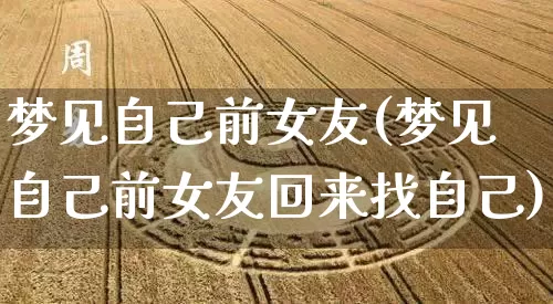 梦见自己前女友(梦见自己前女友回来找自己)_https://www.nbtfsb.com_易经起名_第1张
