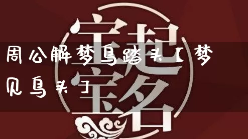 周公解梦鸟踏头【梦见鸟头】_https://www.nbtfsb.com_周公解梦_第1张