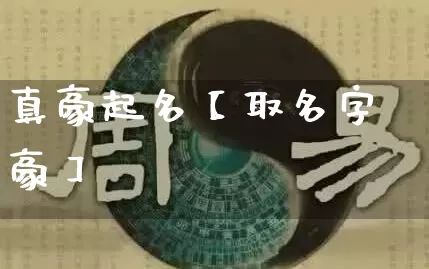 真豪起名【取名字豪】_https://www.nbtfsb.com_道源国学_第1张