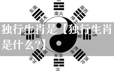 独行生肖是【独行生肖是什么?】_https://www.nbtfsb.com_易经起名_第1张