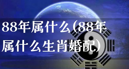 88年属什么(88年属什么生肖婚配)_https://www.nbtfsb.com_道源国学_第1张