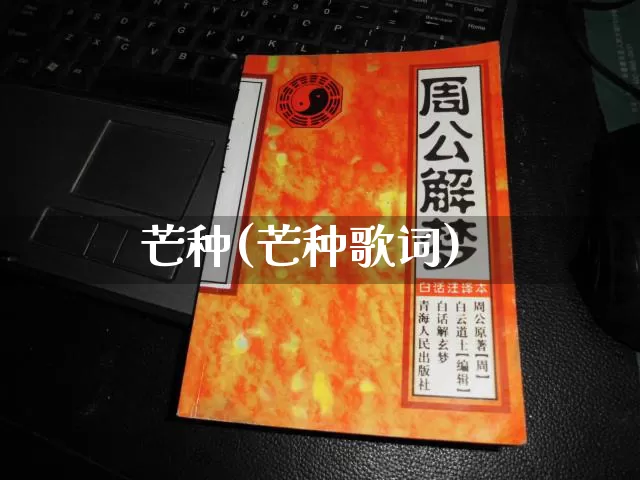 芒种(芒种歌词)_https://www.nbtfsb.com_易经起名_第1张