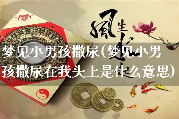 梦见小男孩撒尿(梦见小男孩撒尿在我头上是什么意思)_https://www.nbtfsb.com_周公解梦_第1张