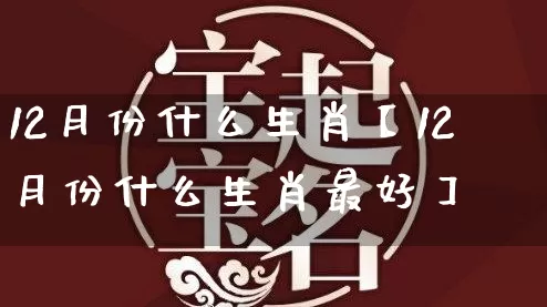 12月份什么生肖【12月份什么生肖最好】_https://www.nbtfsb.com_生肖星座_第1张
