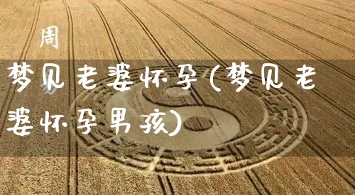 梦见老婆怀孕(梦见老婆怀孕男孩)_https://www.nbtfsb.com_道源国学_第1张
