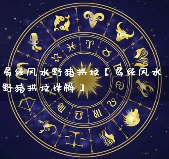 易经风水野猪拱坟【易经风水野猪拱坟详解】_https://www.nbtfsb.com_国学动态_第1张