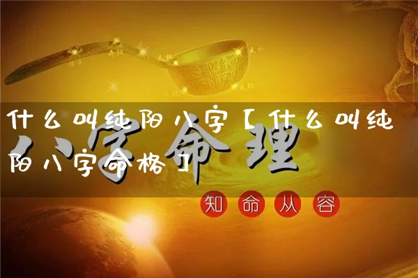 什么叫纯阳八字【什么叫纯阳八字命格】_https://www.nbtfsb.com_五行风水_第1张
