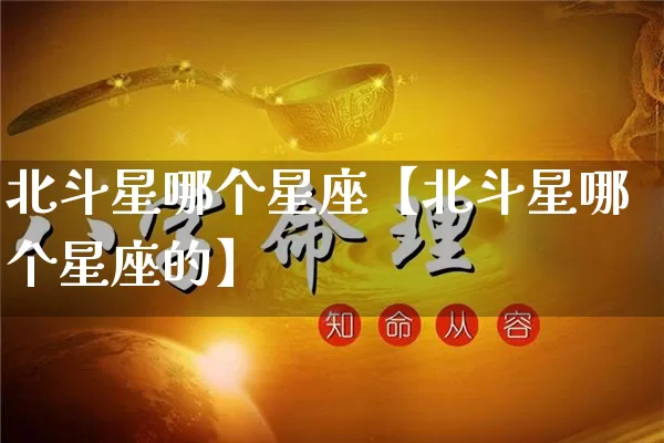 北斗星哪个星座【北斗星哪个星座的】_https://www.nbtfsb.com_生肖星座_第1张