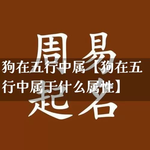 狗在五行中属【狗在五行中属于什么属性】_https://www.nbtfsb.com_易经起名_第1张