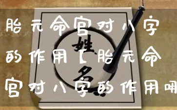 胎元命宫对八字的作用【胎元命宫对八字的作用哪个大】_https://www.nbtfsb.com_生肖星座_第1张