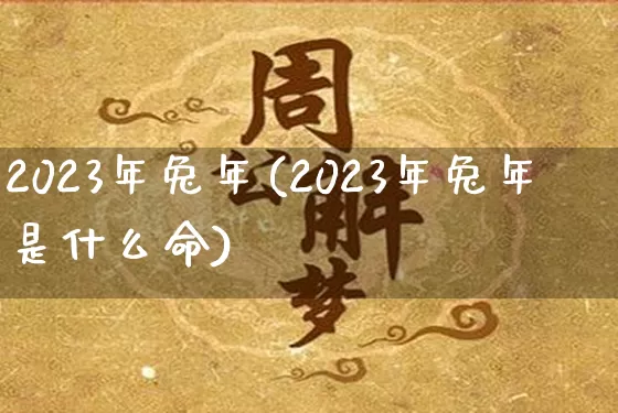2023年兔年(2023年兔年是什么命)_https://www.nbtfsb.com_国学动态_第1张