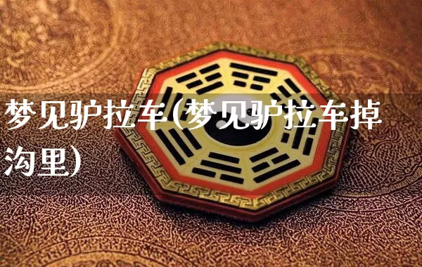 梦见驴拉车(梦见驴拉车掉沟里)_https://www.nbtfsb.com_国学动态_第1张