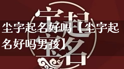 尘字起名好吗【尘字起名好吗男孩】_https://www.nbtfsb.com_易经起名_第1张