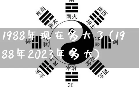 1988年现在多大了(1988年2023年多大)_https://www.nbtfsb.com_国学动态_第1张