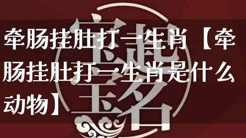牵肠挂肚打一生肖【牵肠挂肚打一生肖是什么动物】_https://www.nbtfsb.com_国学动态_第1张
