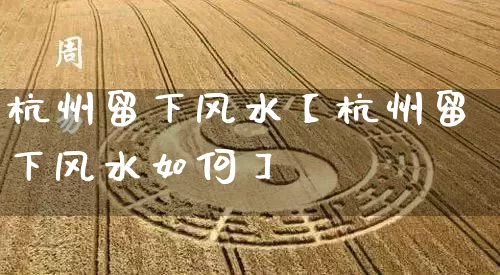 杭州留下风水【杭州留下风水如何】_https://www.nbtfsb.com_周公解梦_第1张