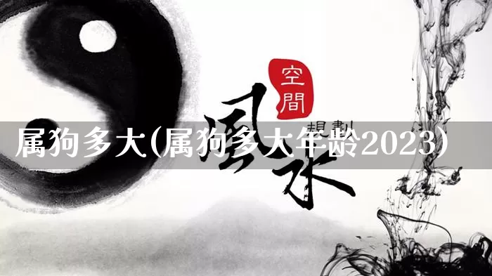 属狗多大(属狗多大年龄2023)_https://www.nbtfsb.com_生肖星座_第1张