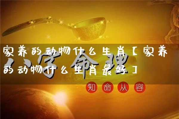 家养的动物什么生肖【家养的动物什么生肖最好】_https://www.nbtfsb.com_五行风水_第1张