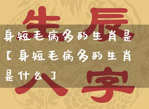 身短毛病多的生肖是【身短毛病多的生肖是什么】_https://www.nbtfsb.com_道源国学_第1张