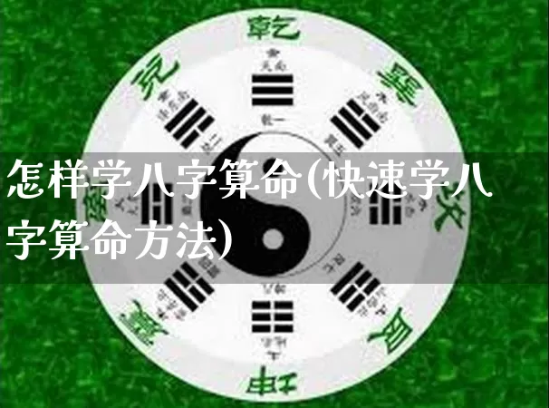 怎样学八字算命(快速学八字算命方法)_https://www.nbtfsb.com_五行风水_第1张